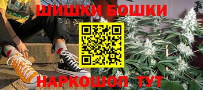 стаф Лесосибирск