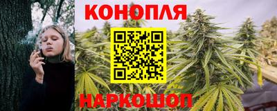 стаф Лесосибирск